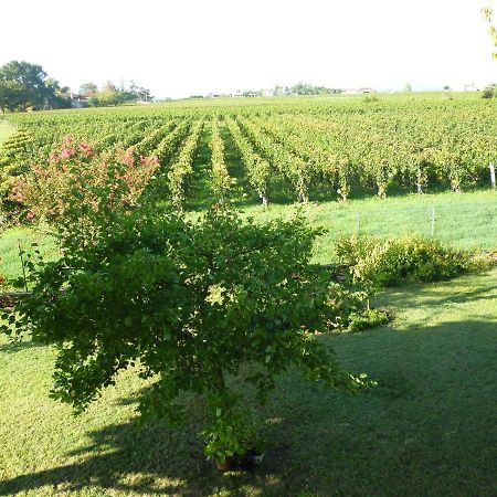 Le Clos Des Rosiers แซงต์เตมีลียง ภายนอก รูปภาพ