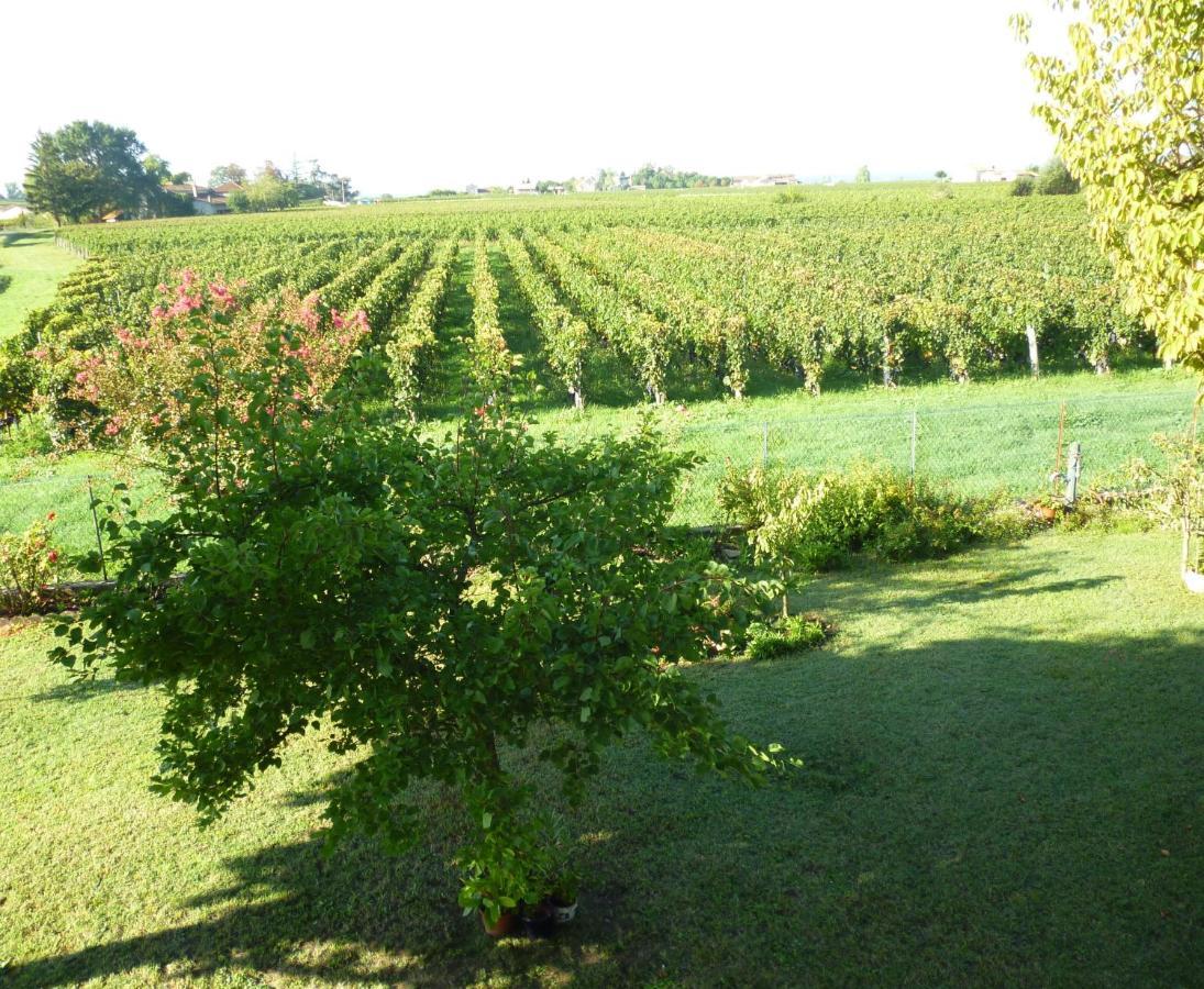 Le Clos Des Rosiers แซงต์เตมีลียง ภายนอก รูปภาพ