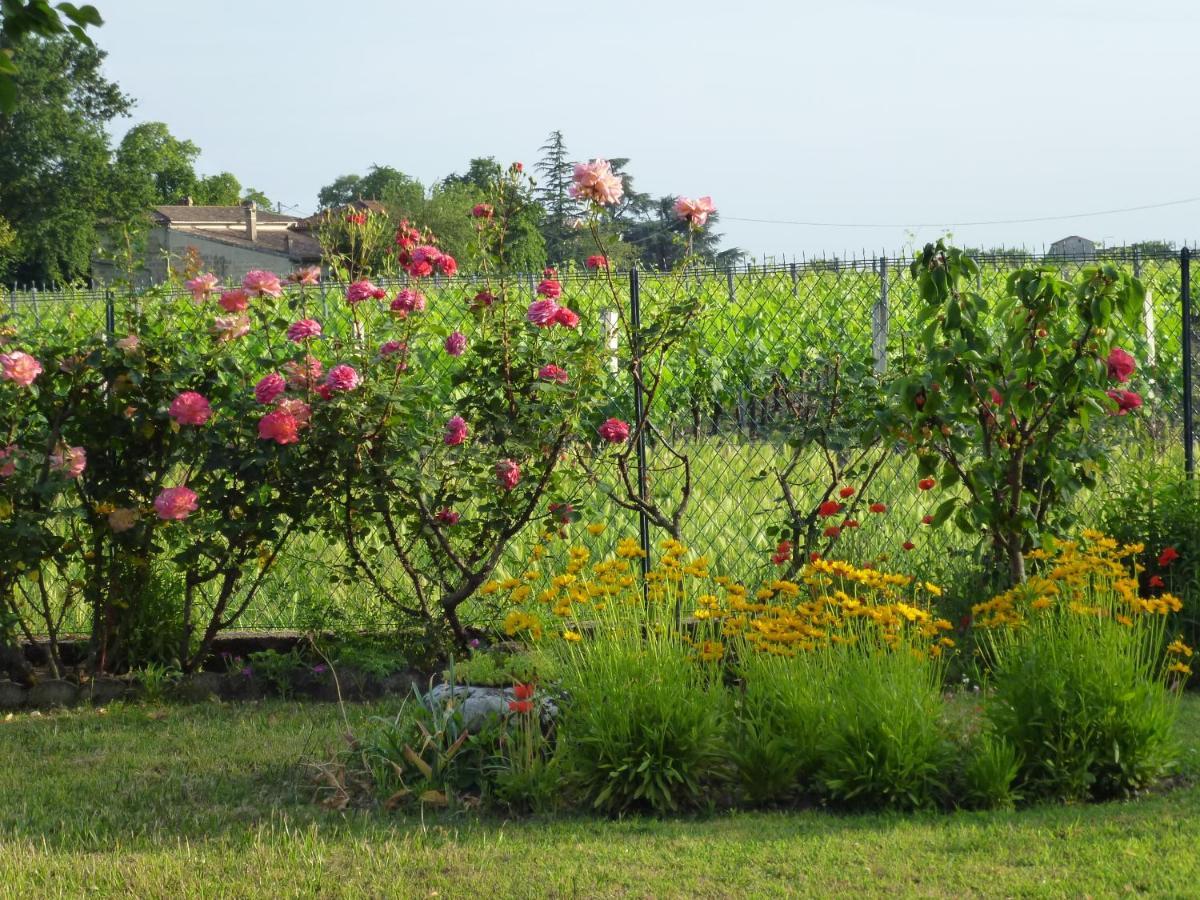 Le Clos Des Rosiers แซงต์เตมีลียง ภายนอก รูปภาพ