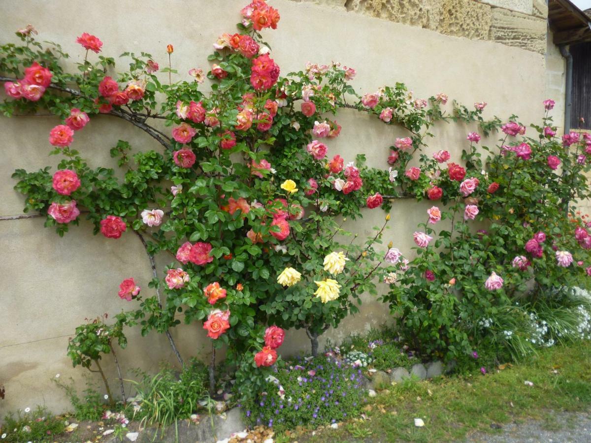 Le Clos Des Rosiers แซงต์เตมีลียง ภายนอก รูปภาพ