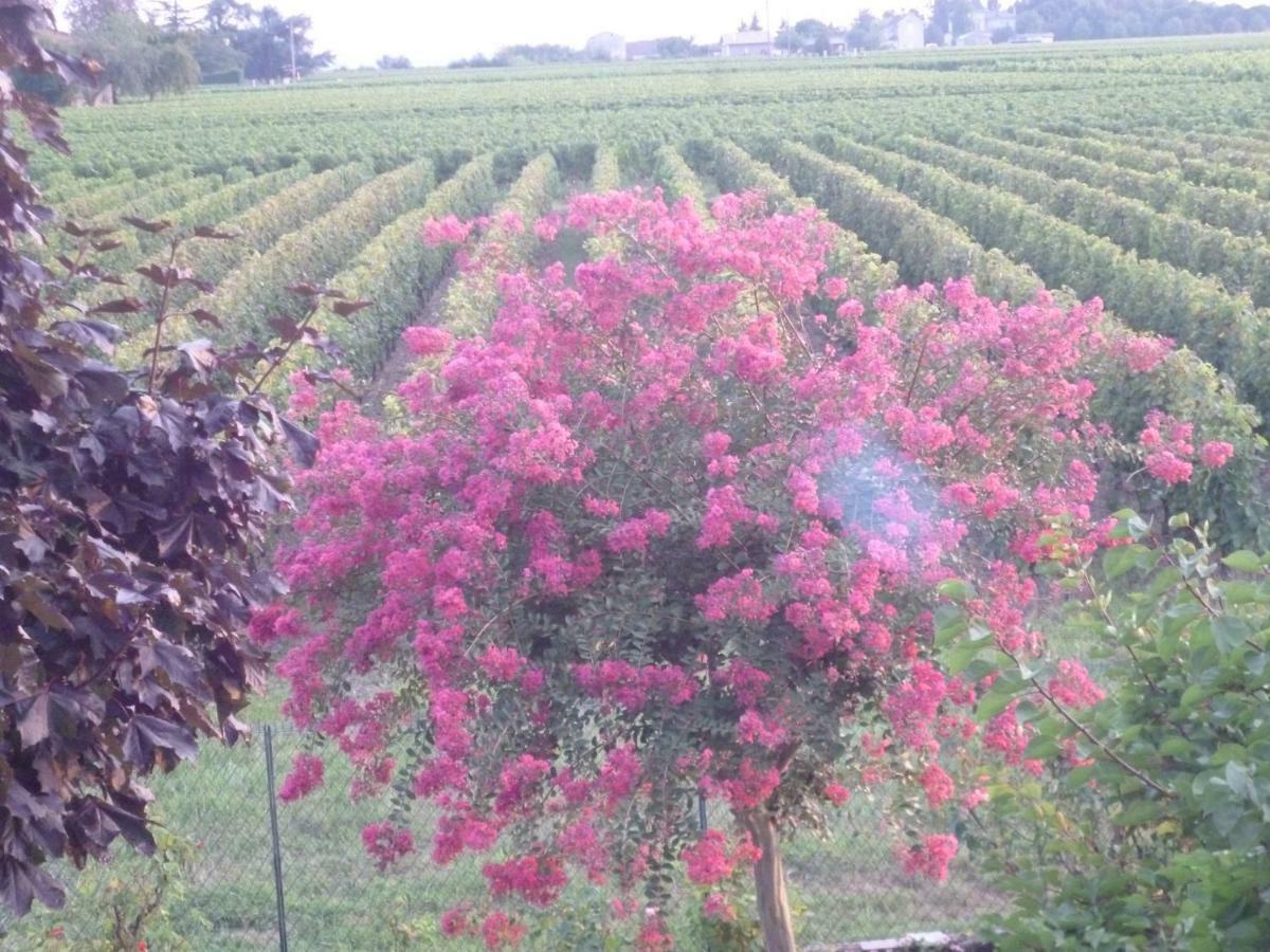 Le Clos Des Rosiers แซงต์เตมีลียง ภายนอก รูปภาพ